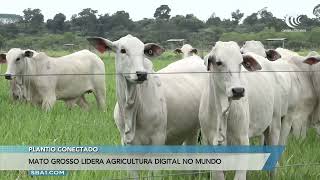 Miniatura do vídeo