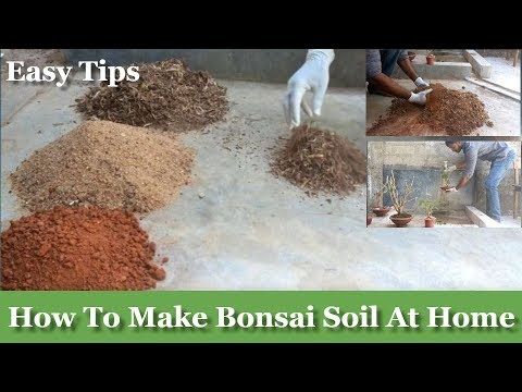 How to Make Bonsai Soil at Your Home for Beginners//GREEN PLANTS