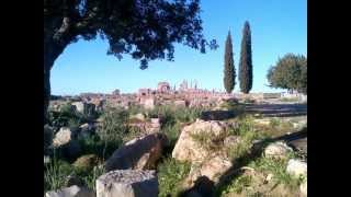preview picture of video 'Mi visita a las ruinas romanas de Volubilis'