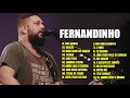 Fernandinho ALBUM COMPLETO AS 30 MELHORES E MAIS TOCADAS Top Coleção De Belos Hinos