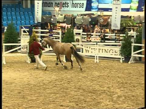 Freispringen Special Pepper v. Sergeant Pepper x Atom