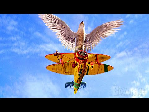 Falcão vs Avião de brinquedo | O Pequeno Stuart Little 2 | Clipe