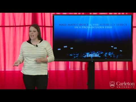 Carleton 3MT 2014 - Heather Auld