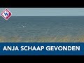 Lichaam van vermiste Anja Schaap gevonden - OMROEP WEST