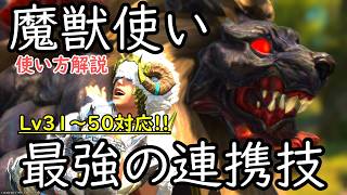 【FF14】これで闘獣練に挑める！魔獣使いLv30~50の戦い方解説※初心者向け