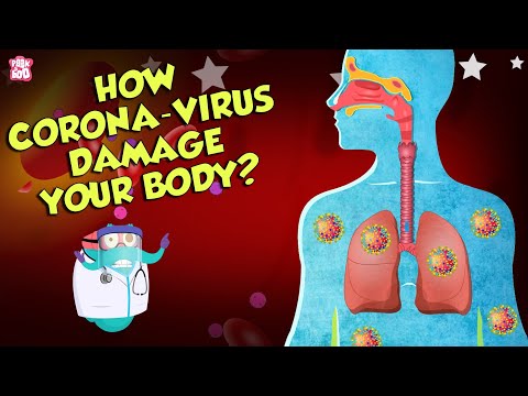 How Corona Virus Affects Your Body - Reading Comprehension