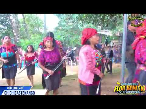 𝗙𝗹𝗼𝗿 𝗕𝗼𝗻𝗶𝘁𝗮 𝗬 𝗦𝘂 𝗠𝗮𝗿𝗶𝗺𝗯𝗮 𝗢𝗿𝗾𝘂𝗲𝘀𝘁𝗮 𝗧𝗲𝗺𝗮 𝗟𝗼 𝗠𝗮𝘀 𝗡𝘂𝗲𝘃𝗼,,, 𝗖𝗼𝗻 𝗨𝗻 𝗡𝘂𝗱𝗼 𝗘𝗻 𝗟𝗮 𝗖𝗮𝗿𝗴𝗮𝗻𝘁𝗮 𝗘𝗻 𝗟𝗮 𝗩𝗼𝘀 𝗗𝗲 𝗠𝗮𝗿𝗶𝗮