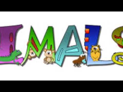 Animals- ENL vocabulary