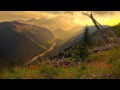 Armin van Buuren feat. Sophie - Virtual Friend ...