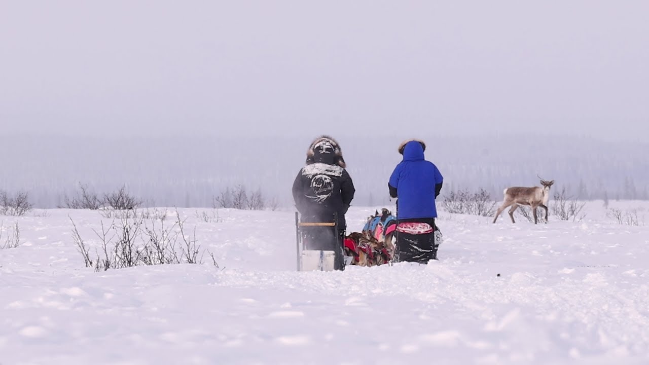 Arctic Report Card 2024