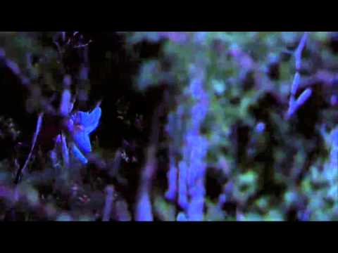 Home and Away: Monday 27 January - Clip