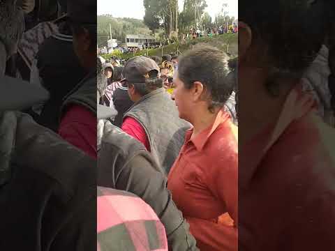 así son carnaval de guamoteño (comparte)