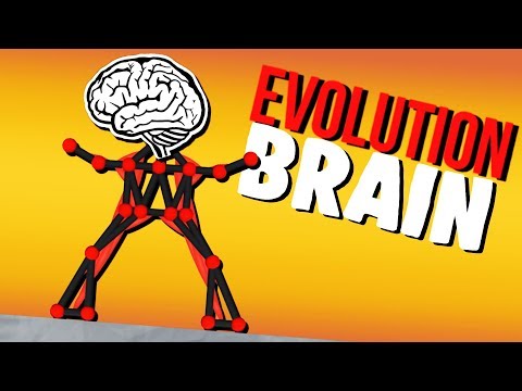 Evolving the Biggest Brain Possible! - Evolution Simulator - YouTube