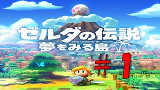 #１ 【ゼルダ 実況】夢をみる島スイッチ版！リメイクを20年前の記憶を辿りながら実況プレイ『ゼルダの伝説 夢をみる島』