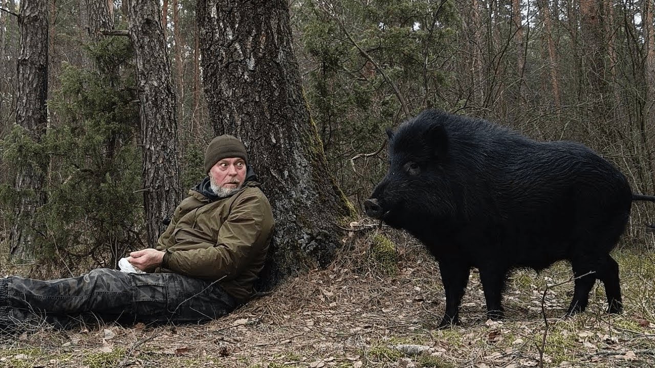 25 Times When Animals Reunited With Owners After Years And Stayed Together !