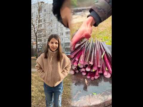 #youtube#foryour#foryoupage#fyp#youtubeshorts#viralshorts