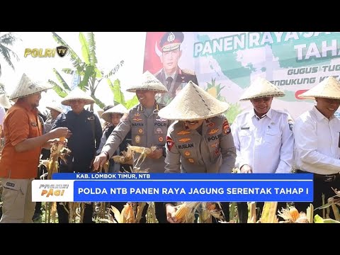 POLDA NTB IKUTI PANEN JAGUNG RAYA TAHAP I SECARA VIRTUAL
