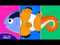 The Sea Animal Parts Matching Game Learn The Different Kinds Sea Animals Names And Videos