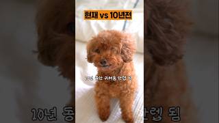 그때 안 만났으면 어쩔 뻔했을까ㅠ