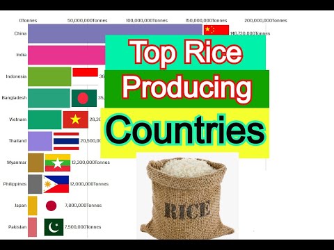 Rice producing countries of the world