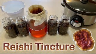How to Make Reishi Mushroom Dual Extract Tincture