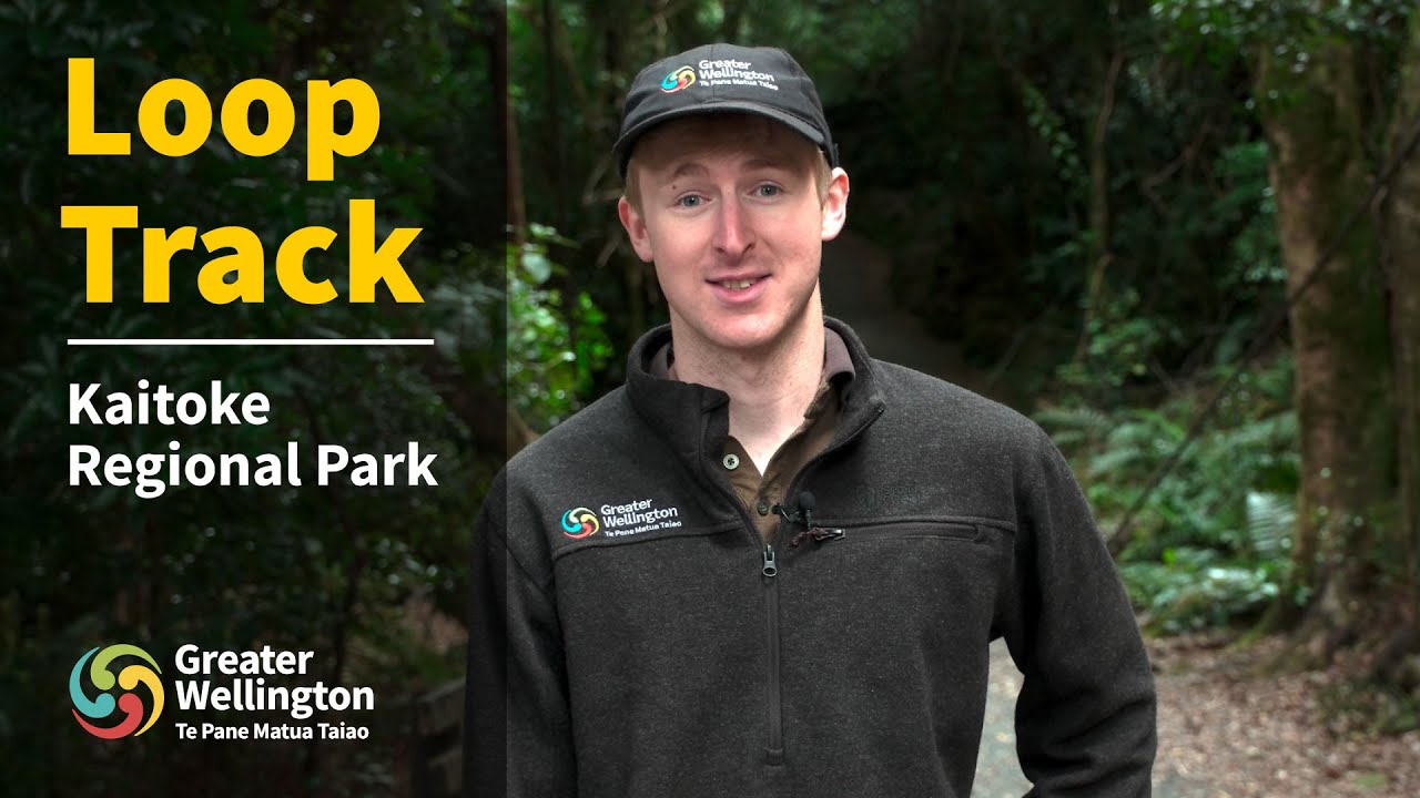 Guide to visiting Kaitoke Regional Park's loop track.