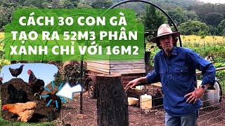 Cách để đưa con gà vào hệ thống sản xuất phân xanh hoàn hảo nhất