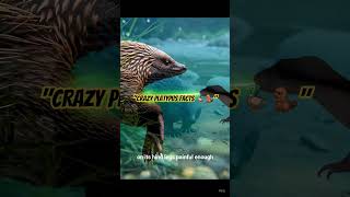 Download lagu 'Platypus: The Weirdest Animal You Won’t Believe Exists!' #shorts #youtubeshorts #animals mp3