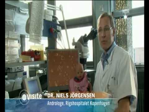 Visite auf NDR (04.05.2010)