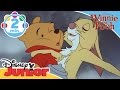 Pooh S Most Grand Adventure The Search For C Robin Map Song Disneykids