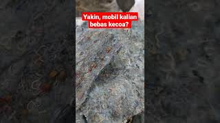 Tanda mobil ada kecoa #salonmobil #autocare #kecoa #mobil #otomotif #detailingmobil #autodetailing