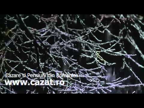 Cazare Prunaru, Teleorman - Cazat.ro