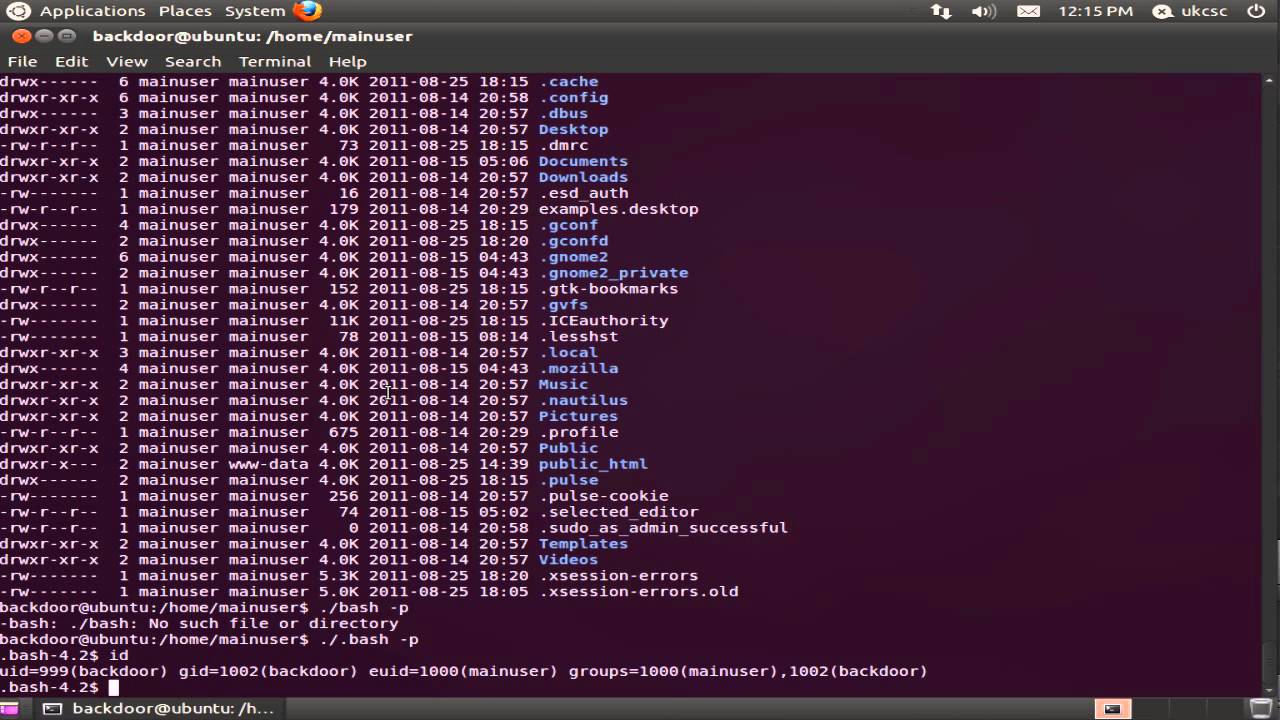 UKCSC Linux Forensics Challenge How To