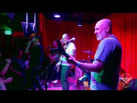 The Fleshies video
