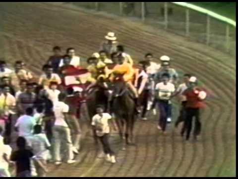 Clásico del Caribe 1983 - Verset Dancer