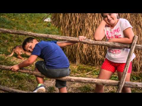 O seara de vara, in Valea Inzelului