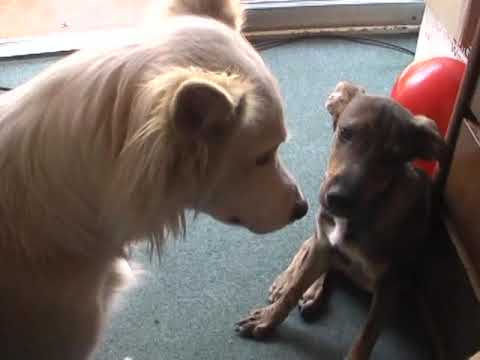 Sophie y Noel Ene 2013 Parte 1