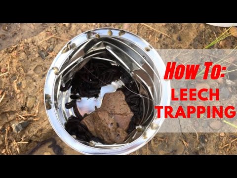 image-What does it mean to leech off someone?