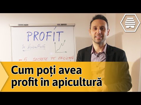 Fă primul pas pentru profit din apicultură