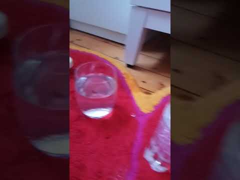 Zaubertrick mit Wasserperlen