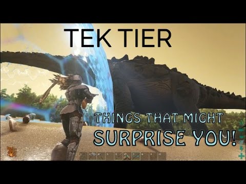 TEK TIER Things about structures that might SURPRISE YOU!