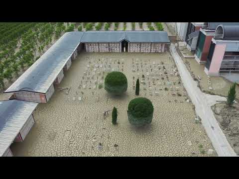 situazione cimitero di Faenza al 08/06/2023