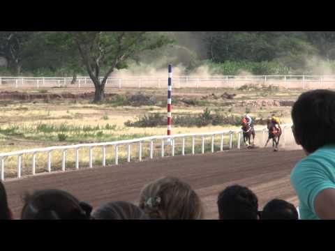 2da Carrera - Hipódromo San Francisco - Domingo 20 de abril de 2014