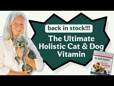 The Best Glandular Powdered Vitamins For Cats & Dogs Now Back In Stock! Holistic Total Body Support