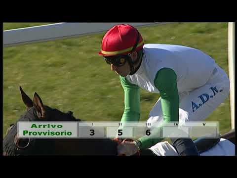 2020-02-20 Corsa 1 Metri 2000 Premio Aldo Ansoldi