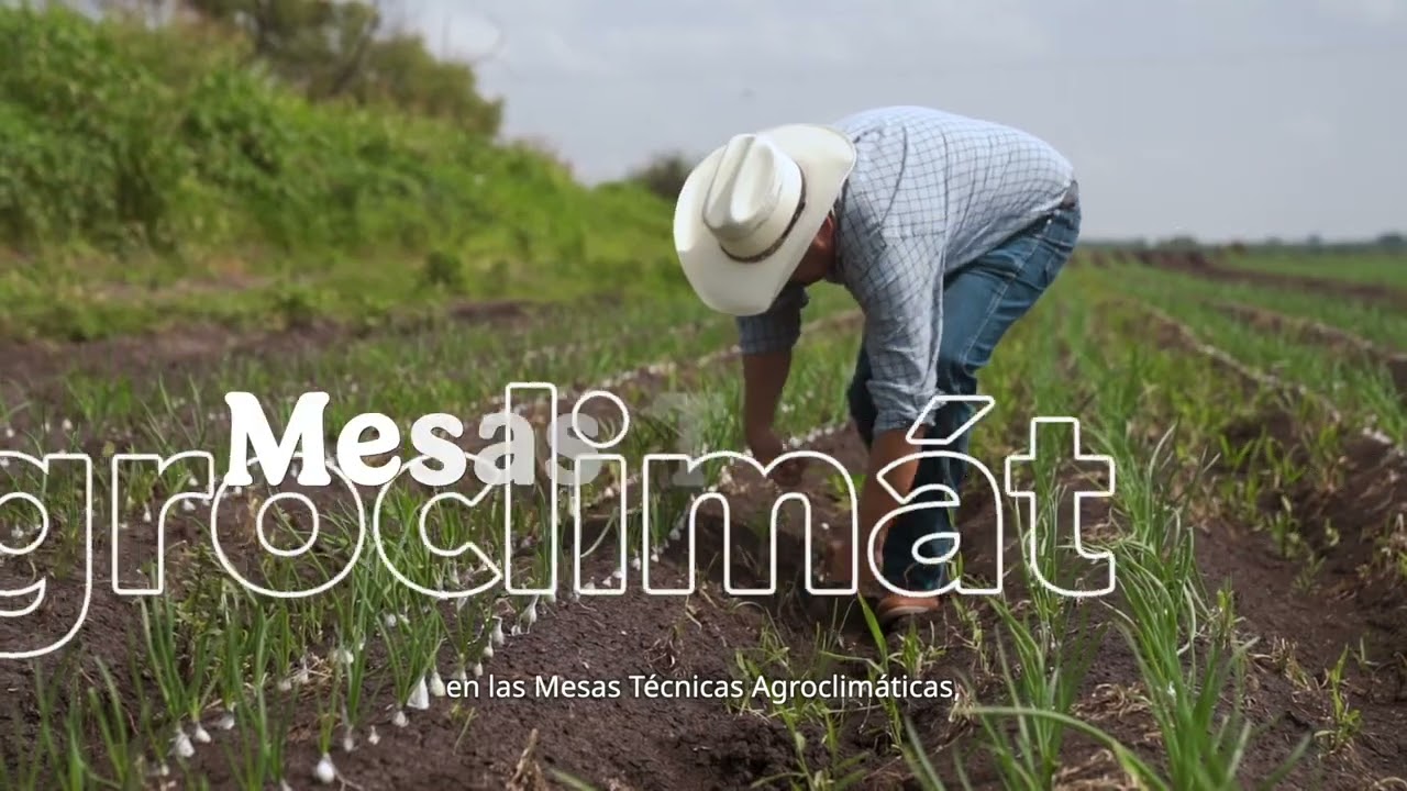 ¿Qué son los boletines agrocilimáticos?