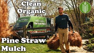 Mid-Atlantic Pine Straw: Organic Mulch, Delivered Right to Your Door