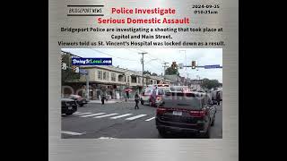 Download the video "Police Investigate Serious Domestic Assault"