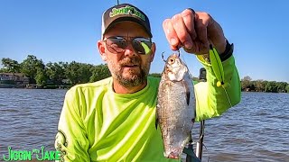 BIG BAITS Don't ALWAYS Catch BIG CATFISH!