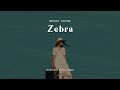 BEACH HOUSE - ZEBRA (LYRICS)